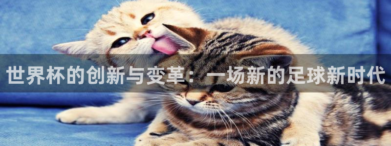 世界杯亚洲预选赛18强赛程：世界杯的创新与变革：一场新的足球新时代