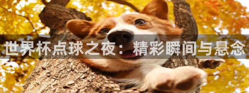 2026世界杯中国队：世界杯点球之夜：精彩瞬间与悬念