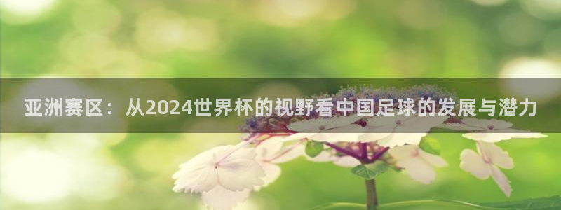 世界杯直播高清：亚洲赛区：从2024世界杯的视野看中国足球的发展与潜力