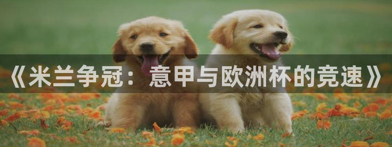 今年世界杯：《米兰争冠：意甲与欧洲杯的竞速》