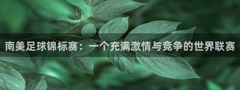 女足世界杯直播：南美足球锦标赛：一个充满激情与竞争的世界联赛