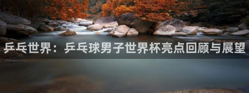 2006世界杯：乒乓世界：乒乓球男子世界杯亮点回顾与展望