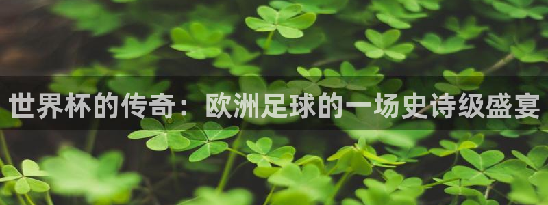 世界杯对阵图2026：世界杯的传奇：欧洲足球的一场史诗级盛宴