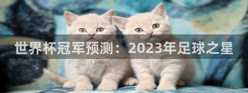 美洲杯直播：世界杯冠军预测：2023年足球之星