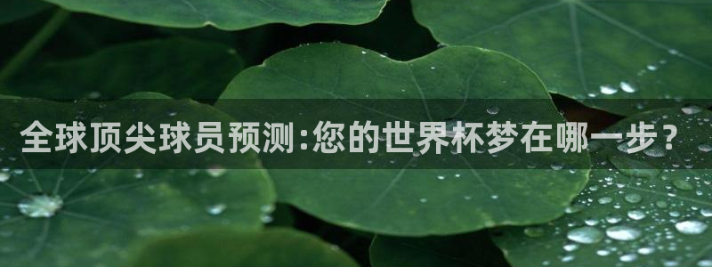 世界杯直播免费观看：全球顶尖球员预测:您的世界杯梦在哪一步？