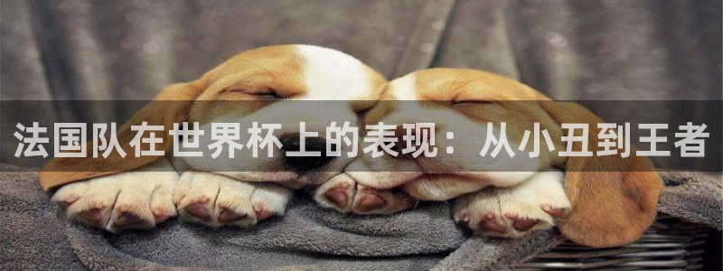 世界杯预选赛排名：法国队在世界杯上的表现：从小丑到王者