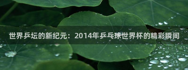 女足世界杯直播在线观看免费高清：世界乒坛的新纪元：2014年乒乓球世界杯的精彩瞬间
