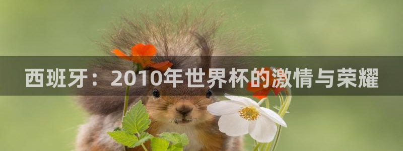 世界杯球队排名：西班牙：2010年世界杯的激情与荣耀