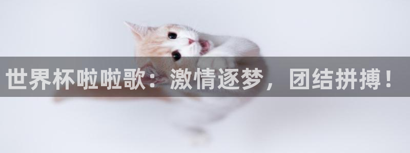 世界杯2026赛程表：世界杯啦啦歌：激情逐梦，团结拼搏！