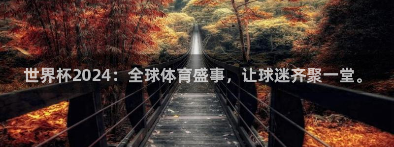 法国杯2026赛程表：世界杯2024：全球体育盛事，让球迷齐聚一堂。